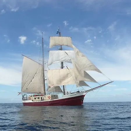 Tall Ship 船屋 圣米格尔德阿沃纳